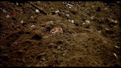 定理剧照的剧照