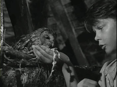 禁忌的游戏剧照的剧照