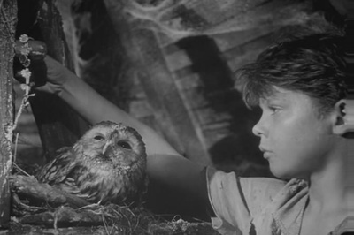 禁忌的游戏剧照的剧照