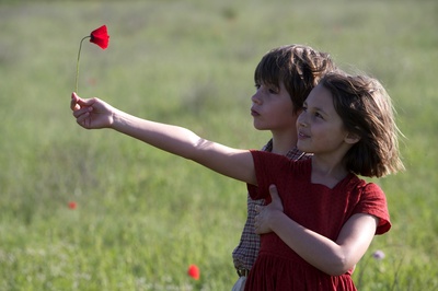 小宇宙3：自然奇观剧照的剧照