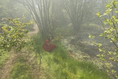 小宇宙3：自然奇观剧照的剧照