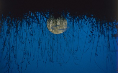 小宇宙3：自然奇观剧照的剧照