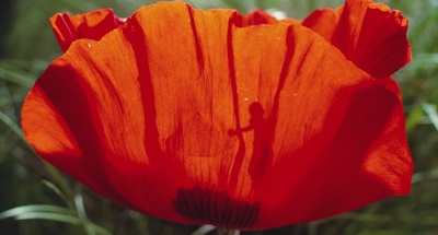 小宇宙3：自然奇观剧照的剧照