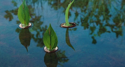 小宇宙3：自然奇观剧照的剧照