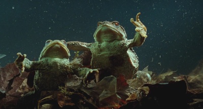 小宇宙3：自然奇观剧照的剧照