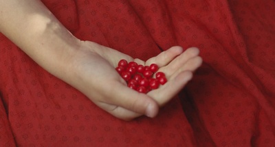 小宇宙3：自然奇观剧照的剧照