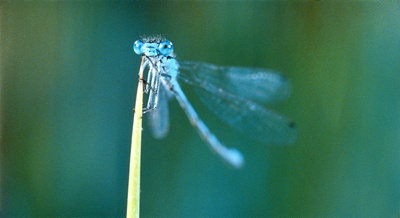 小宇宙3：自然奇观剧照的剧照