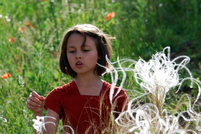 小宇宙3：自然奇观剧照的剧照