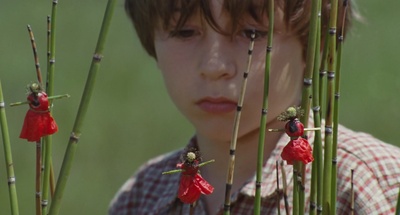 小宇宙3：自然奇观剧照的剧照