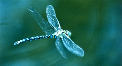 小宇宙3：自然奇观剧照的剧照