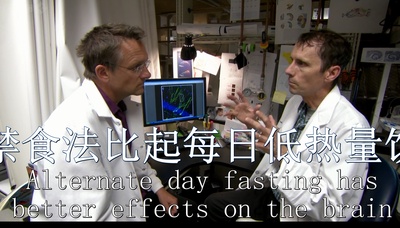 节食与长寿剧照的剧照