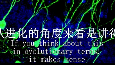 节食与长寿剧照的剧照