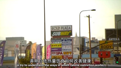 节食与长寿剧照的剧照