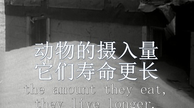 节食与长寿剧照的剧照