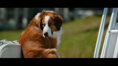 爱情的选择剧照的剧照