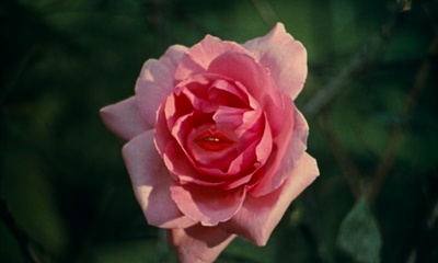 驴皮公主剧照的剧照