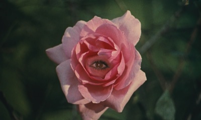 驴皮公主剧照的剧照