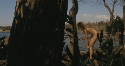 血之海滩剧照的剧照