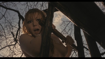 血之海滩剧照的剧照