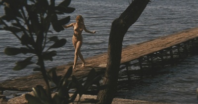 血之海滩剧照的剧照