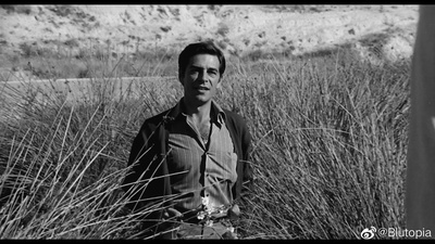 圣力三重奏剧照的剧照