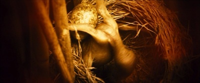 情狱剧照的剧照