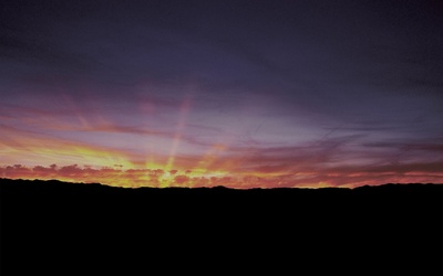 爱屋及污剧照的剧照