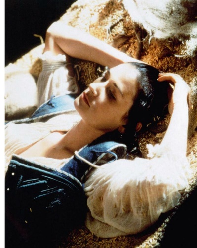 红字剧照的剧照