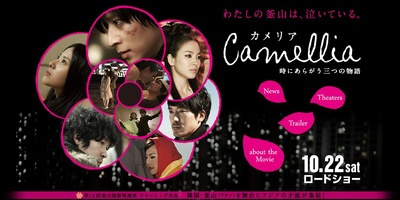 山茶花剧照的剧照