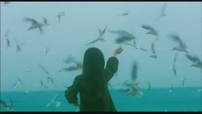 山茶花剧照的剧照