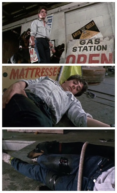 火爆小子剧照的剧照