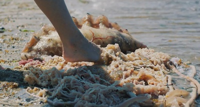 海滨别墅剧照的剧照