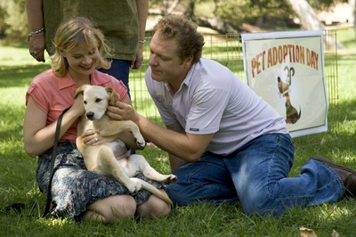 莫惹是非剧照的剧照