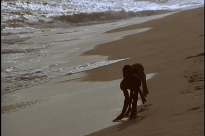 眼镜蛇剧照的剧照