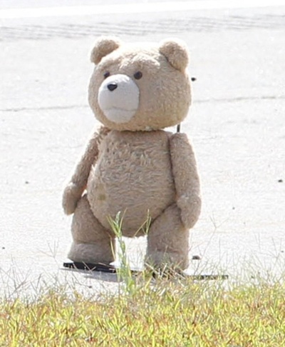 泰迪熊2剧照的剧照