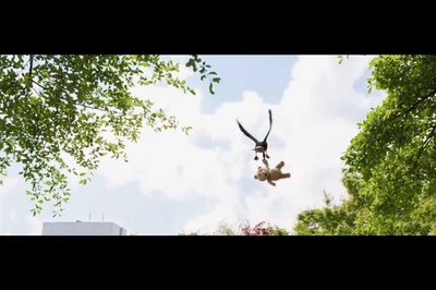 泰迪熊2剧照的剧照