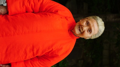 大寒剧照的剧照