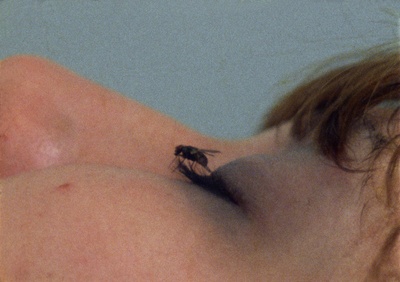 苍蝇剧照的剧照