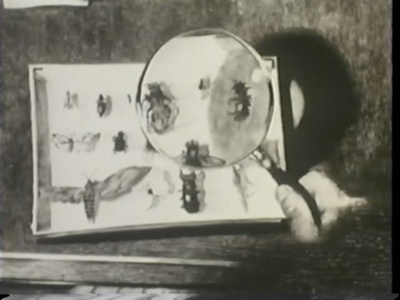 苍蝇剧照的剧照