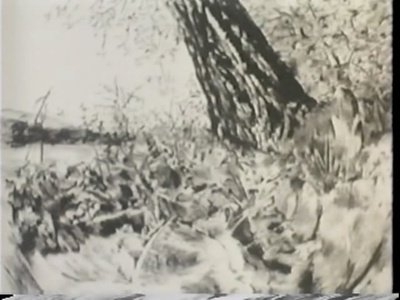 苍蝇剧照的剧照