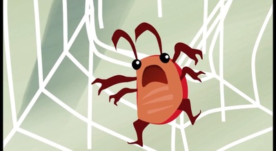 苍蝇一分钟的生命剧照的剧照