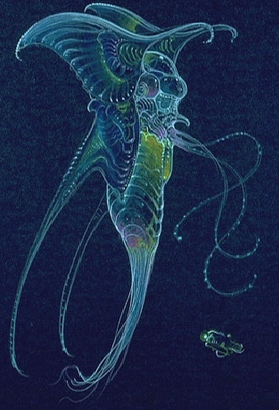 深渊剧照的剧照