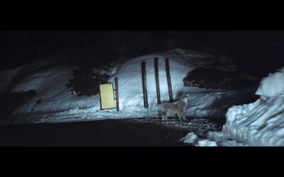 爱之罪剧照的剧照