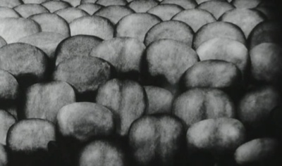 控诉剧照的剧照