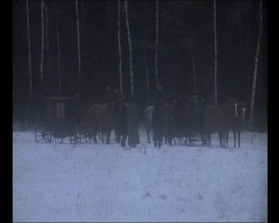 追逐蝴蝶剧照的剧照