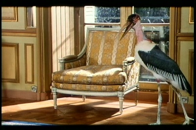 我不想回家剧照的剧照