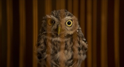 明天和每一天剧照的剧照