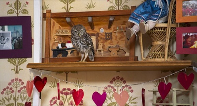 明天和每一天剧照的剧照