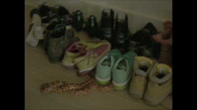 这儿的树剧照的剧照