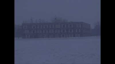 这儿的树剧照的剧照